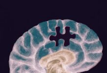 Жадыны жақсартудың ғылым дәлелдеген 6 әдісі