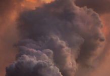 Деменция неден туады?