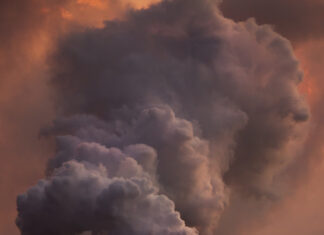 Деменция неден туады?